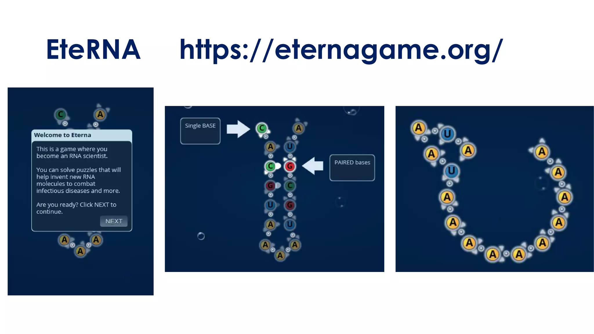 EteRNA https://eternagame.org/
 
