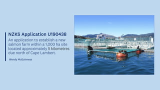 NZKS Application U190438
An application to establish a new
salmon farm within a 1,000 ha site
located approximately 5 kilometres
due north of Cape Lambert.
Wendy McGuinness
 
