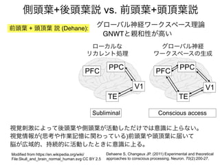 側頭葉+後頭葉説 vs. 前頭葉+頭頂葉説
Modified from https://en.wikipedia.org/wiki/
File:Skull_and_brain_normal_human.svg CC BY 2.5
V1
TE
PFC
PPC
ローカルな
リカレント処理
グローバル神経
ワークスペースの生成
Subliminal Conscious access
前頭葉 + 頭頂葉 説 (Dehane):
グローバル神経ワークスペース理論
GNWTと親和性が高い
視覚刺激によって後頭葉や側頭葉が活動しただけでは意識に上らない。
視覚情報が(思考や作業記憶に関わっている)前頭葉や頭頂葉に届いて
脳が広域的、持続的に活動したときに意識に上る。
Dehaene S, Changeux JP. (2011) Experimental and theoretical
approaches to conscious processing. Neuron. 70(2):200-27.
V1
TE
PFC
PPC
 