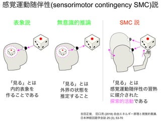 無意識的推論 SMC 説
「見る」とは
感覚運動随伴性の習熟
に媒介された
探索的活動である
吉田正俊， 田口茂 (2018) 自由エネルギー原理と視覚的意識.
日本神経回路学会誌 25 (3), 53-70
「見る」とは
外界の状態を
推定すること
感覚運動随伴性(sensorimotor contingency SMC)説
表象説
「見る」とは
内的表象を
作ることである
 