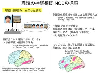 意識の神経相関 NCCの探索
「両眼視野闘争」を用いた研究
Tong F, Nakayama K, Vaughan JT, Kanwisher
N. Neuron. 1998 Oct;21(4):753-9.
顔が見えたと報告できた(気づき)
とき側頭葉の顔領域が活動
でもじつは、気づきに関連する活動は
前頭葉、頭頂葉にもある
Lumer ED, Friston KJ, Rees G.
(1998) Science. 280(5371):1930-4.
Schalk G et al (2017) Proc Natl Acad Sci U S A.
114(46):12285-12290.
側頭葉の顔領域を刺激したら顔が見えた
NCCの定義からすれば、
側頭葉の顔領域は「顔経験」の十分条
件になってる。(最小限かは不明)
では側頭葉がNCCか？
Modified from https://en.wikipedia.org/wiki/Frontal_lobe#/
media/File:Lobes_of_the_brain_NL.svg Public Domain
 