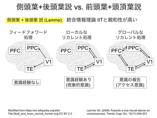 側頭葉+後頭葉説 vs. 前頭葉+頭頂葉説
Lamme VA. (2006) Towards a true neural stance on
consciousness. Trends Cogn Sci. 10(11):494-501.
側頭葉 + 後頭葉 説 (Lamme): 統合情報理論 IITと親和性が高い
フィードフォワード
処理
V1
TE
PFC
PPC
V1
TE
PFC
PPC
ローカルな
リカレント処理
グローバルな
リカレント処理
意識経験なし
意識経験あり
(現象的意識)
意識の報告
(アクセス意識)
Modified from https://en.wikipedia.org/wiki/
File:Skull_and_brain_normal_human.svg CC BY 2.5
V1
TE
PFC
PPC
 