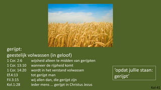 Kol-41
gerijpt:
geestelijk volwassen (in geloof)
1 Cor. 2:6 wijsheid alleen te midden van gerijpten
1 Cor. 13:10 wanneer de rijpheid komt
1 Cor. 14:20 wordt in het verstand volwassen
Ef.4:13 tot gerijpt man
Fil.3:15 wij allen dan, die gerijpt zijn
Kol.1:28 ieder mens ... gerijpt in Christus Jezus
‘opdat jullie staan:
gerijpt’
 