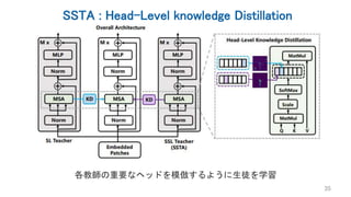 SSTA : Head-Level knowledge Distillation
35
各教師の重要なヘッドを模倣するように生徒を学習
 