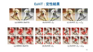 EsViT : 定性結果
43
 
