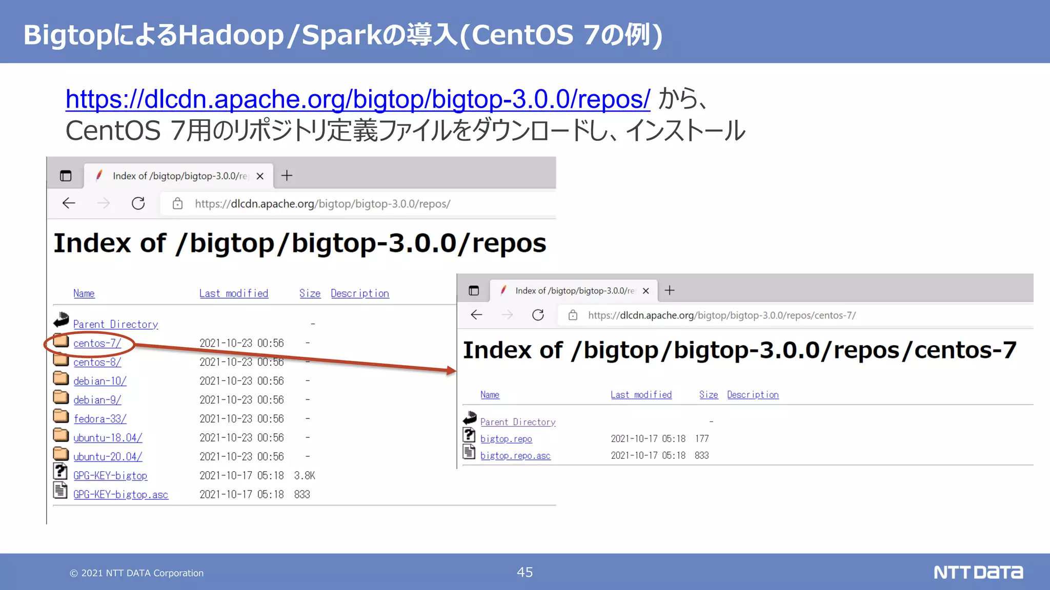 © 2021 NTT DATA Corporation 45
BigtopによるHadoop/Sparkの導入(CentOS 7の例)
https://dlcdn.apache.org/bigtop/bigtop-3.0.0/repos/ から、
CentOS 7用のリポジトリ定義ファイルをダウンロードし、インストール
 