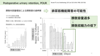 Postoperative urinary retention, POUR
57
Brouwer TA, et al. Anesthesiology. 2015 Jan;122(1):46-54. PMID: 25371036.
Ӥˤױڤ^չ
·]
פ늚ݴ̼
]?늚ݴ̼ˤ뷴^
]gȹ˰
CϺο
^

ׅs?ε
]?
]?
ƽη
 