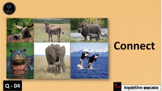 INQUIZITIVE SASWATA
Connect
Q - 04
 