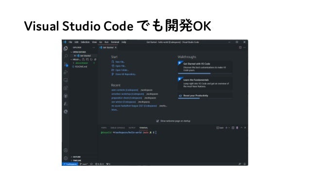 Visual Studio Code でも開発OK
 