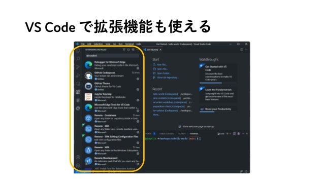 VS Code で拡張機能も使える
 
