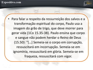 • Para falar a respeito da ressurreição dos salvos e a
transformação espiritual do corpo, Paulo usa a
imagem do grão de trigo, que deve morrer para
gerar vida (1Co 15.35-38). Paulo ensina que corpo
e sangue não podem herdar o Reino de Deus
(15.50): “[…] Semeia-se o corpo em corrupção,
ressuscitará em incorrupção. Semeia-se em
ignomínia, ressuscitará em glória. Semeia-se em
fraqueza, ressuscitará com vigor.
 