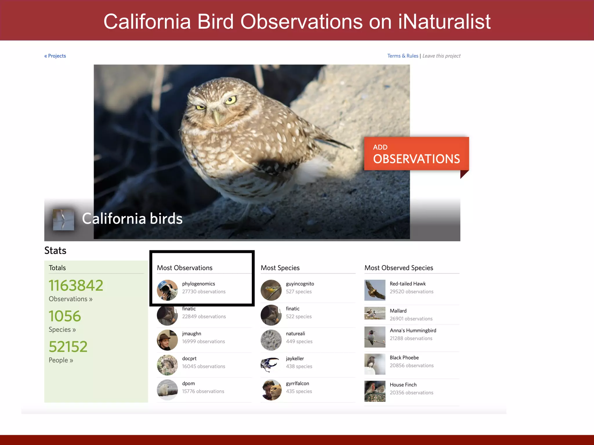 California Bird Observations on iNaturalist
 