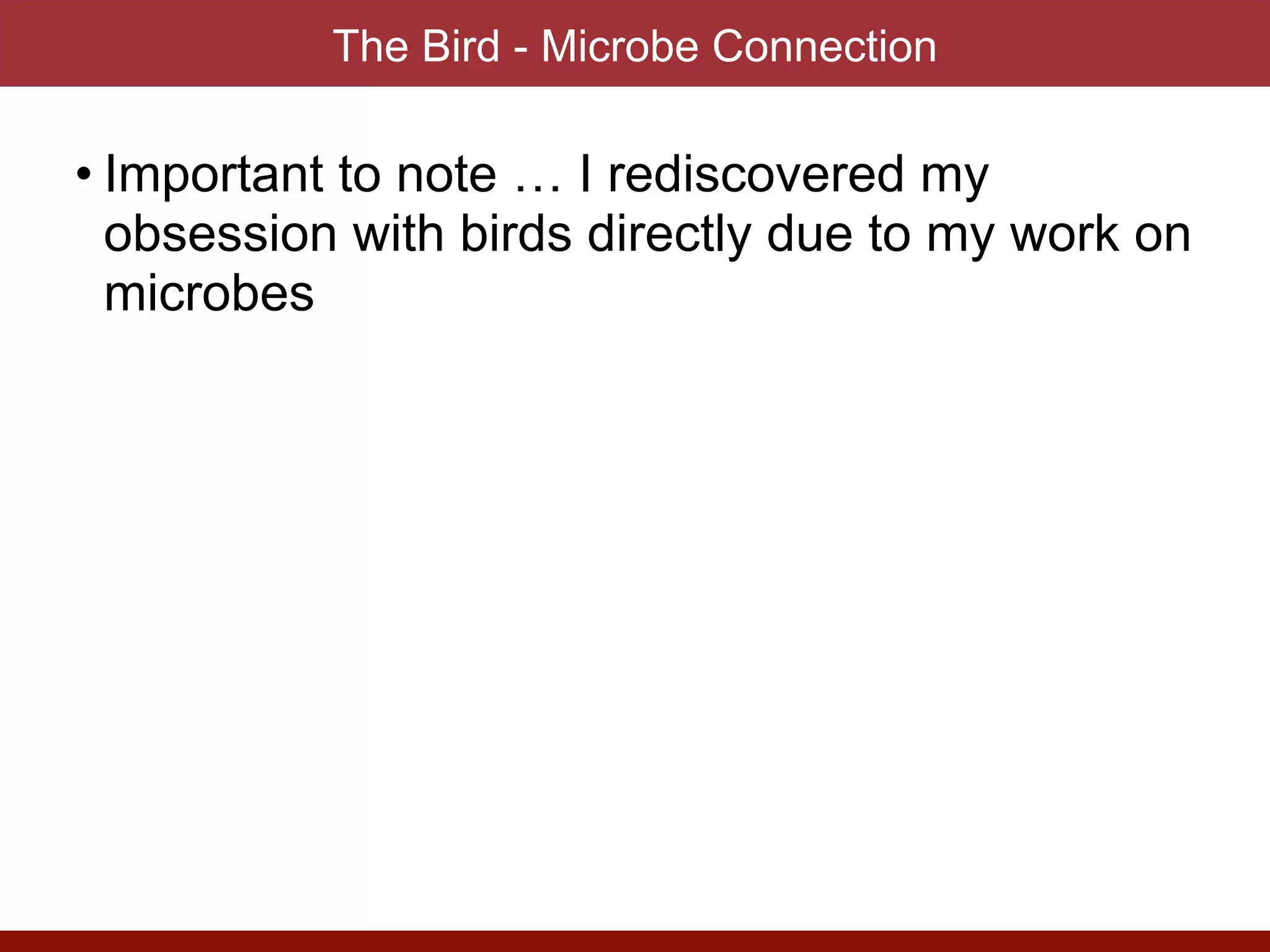The Bird - Microbe Connection
• Important to note … I rediscovered my
obsession with birds directly due to my work on
microbes
 