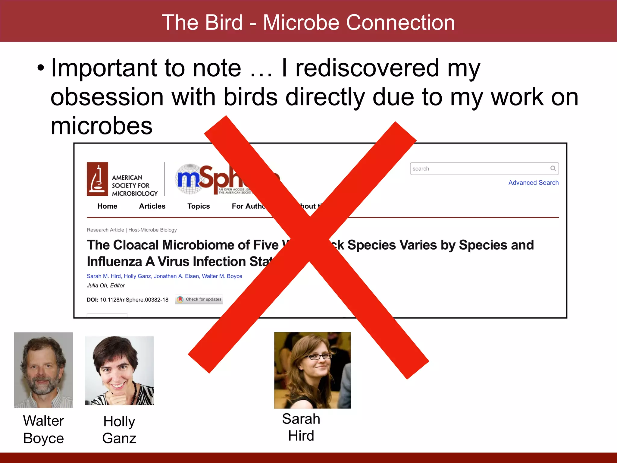 • Important to note … I rediscovered my
obsession with birds directly due to my work on
microbes
The Bird - Microbe Connection
Walter 

Boyce
Holly


Ganz
Sarah


Hird
 