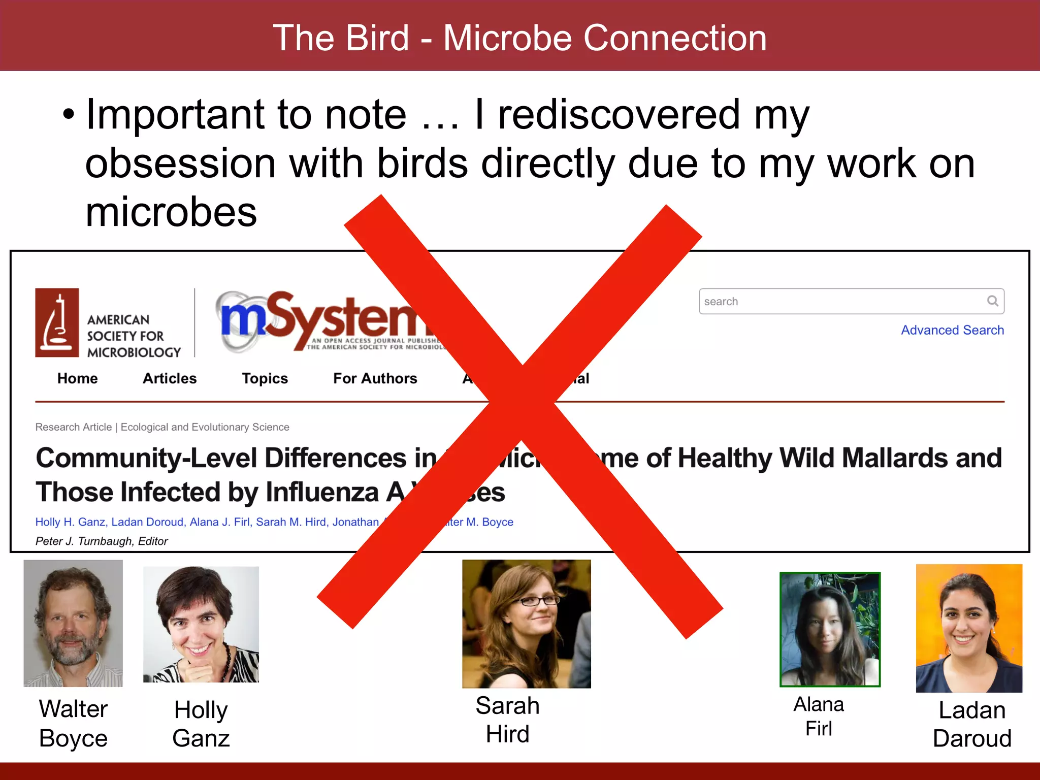 The Bird - Microbe Connection
• Important to note … I rediscovered my
obsession with birds directly due to my work on
microbes
Walter 

Boyce
Holly


Ganz
Sarah


Hird
Ladan


Daroud
Alana

Firl
 