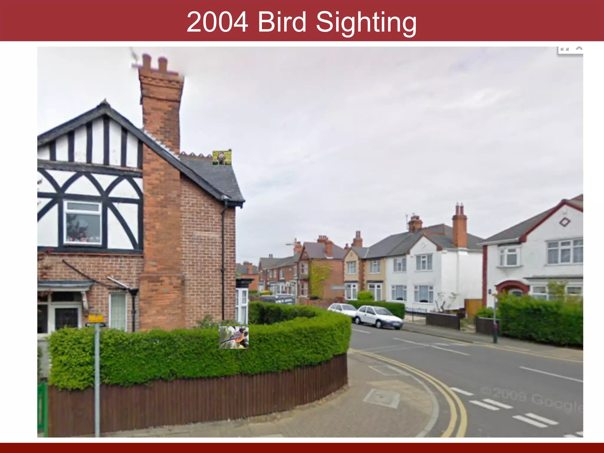 2004 Bird Sighting
photo by J. Eisen
 