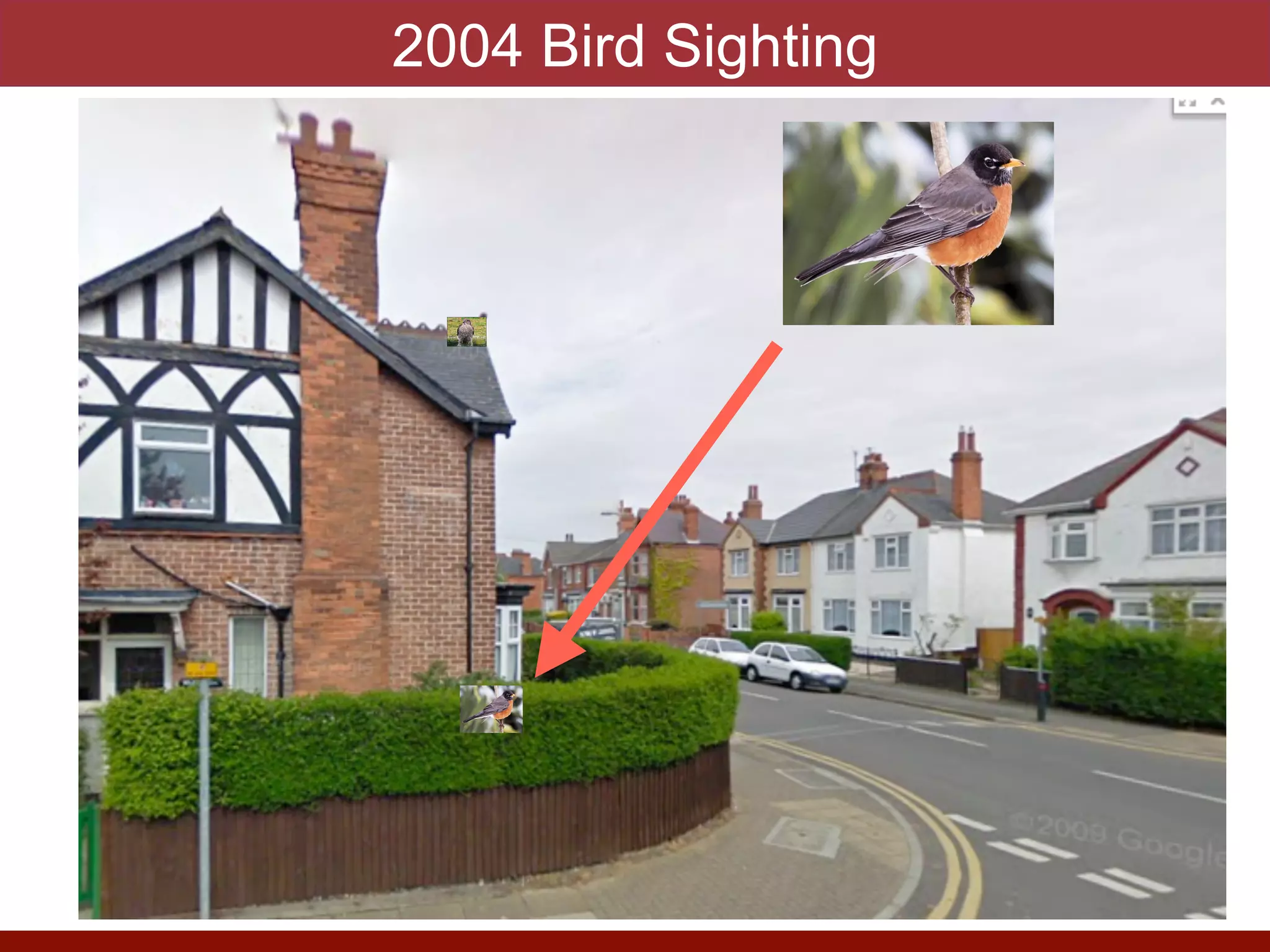 photo by J. Eisen
2004 Bird Sighting
 