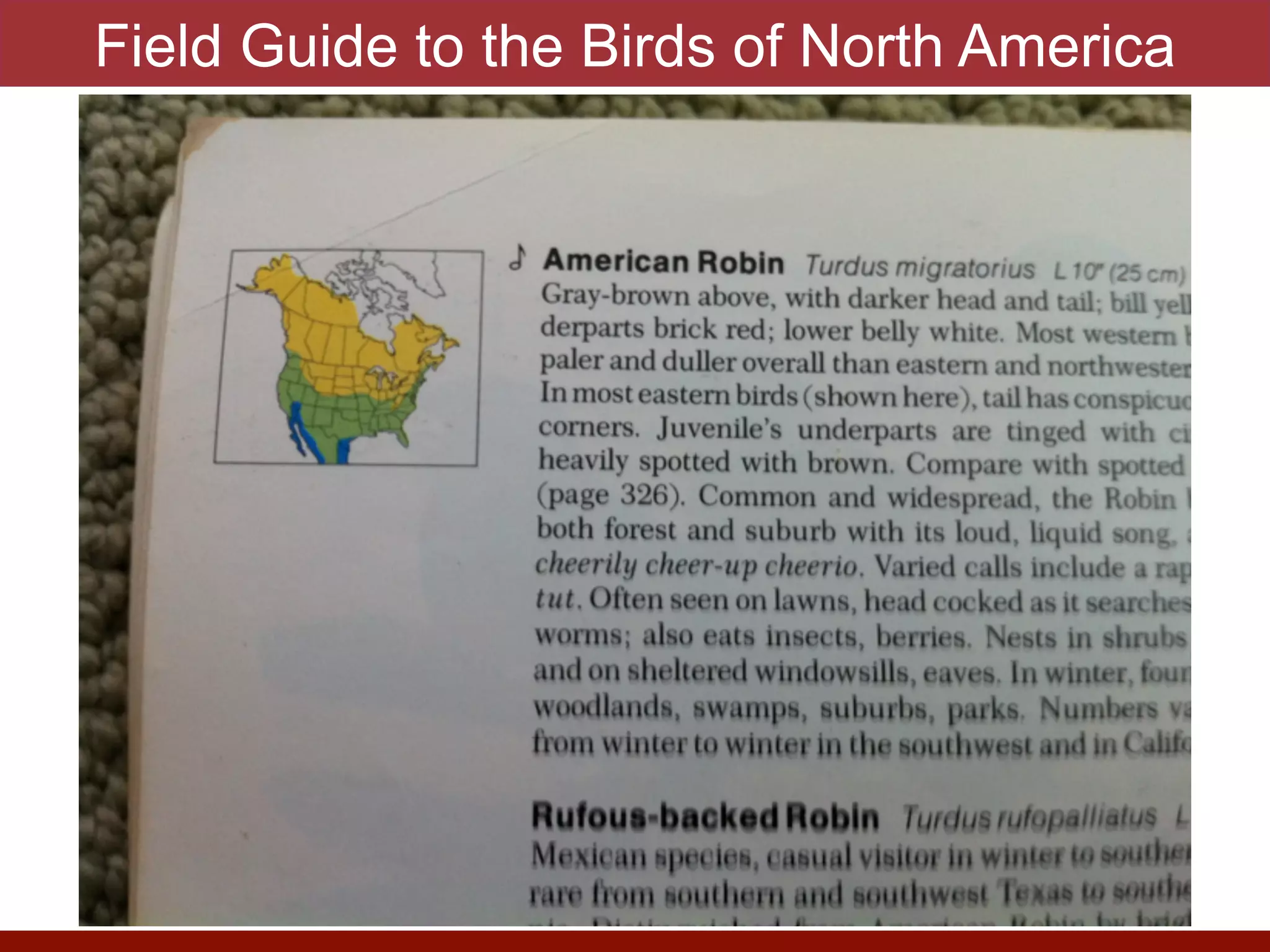 Field Guide to the Birds of North America
photo by J. Eisen
 