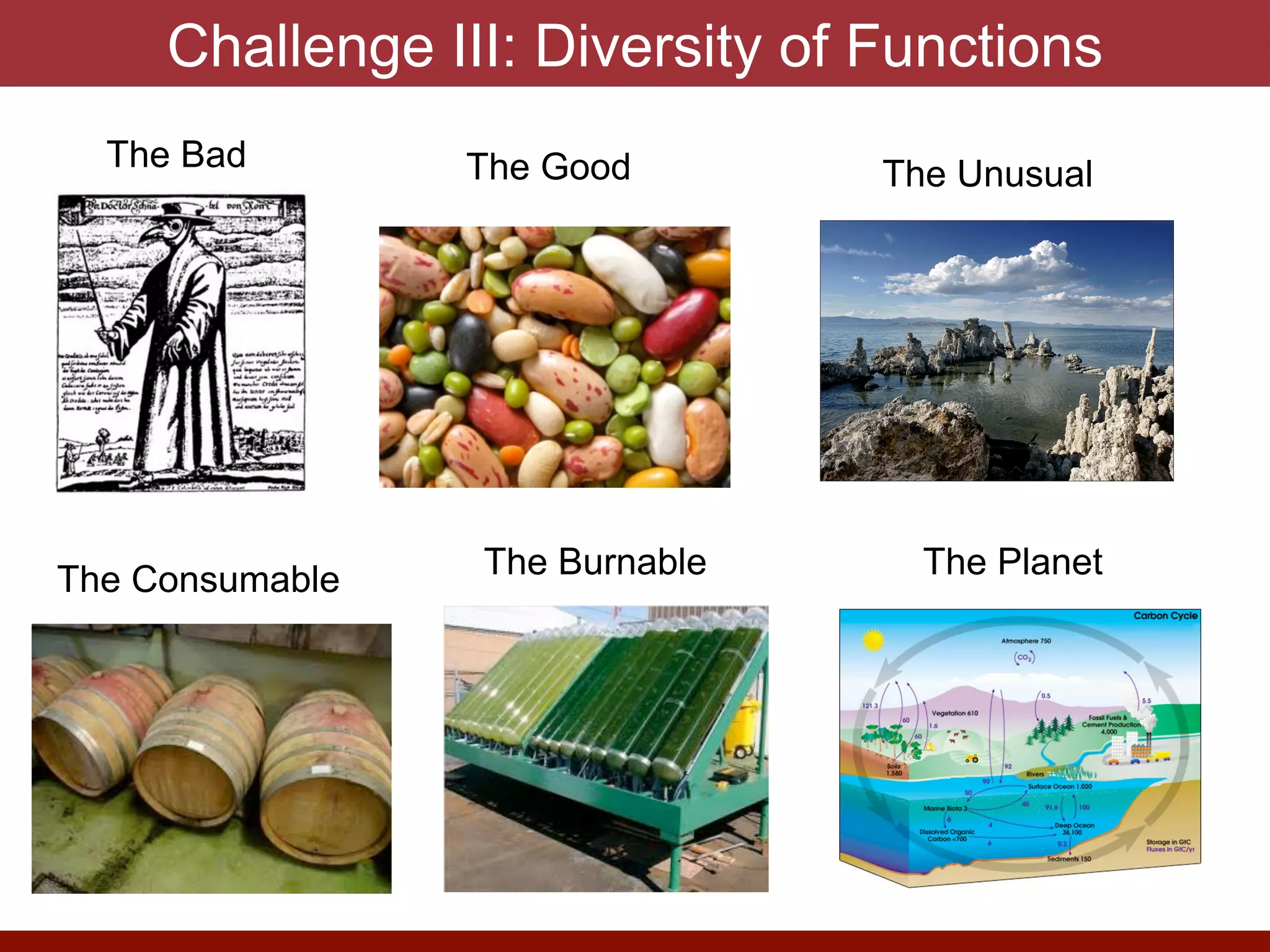 Challenge III: Diversity of Functions
The Bad The Good The Unusual
The Consumable The Burnable The Planet
 