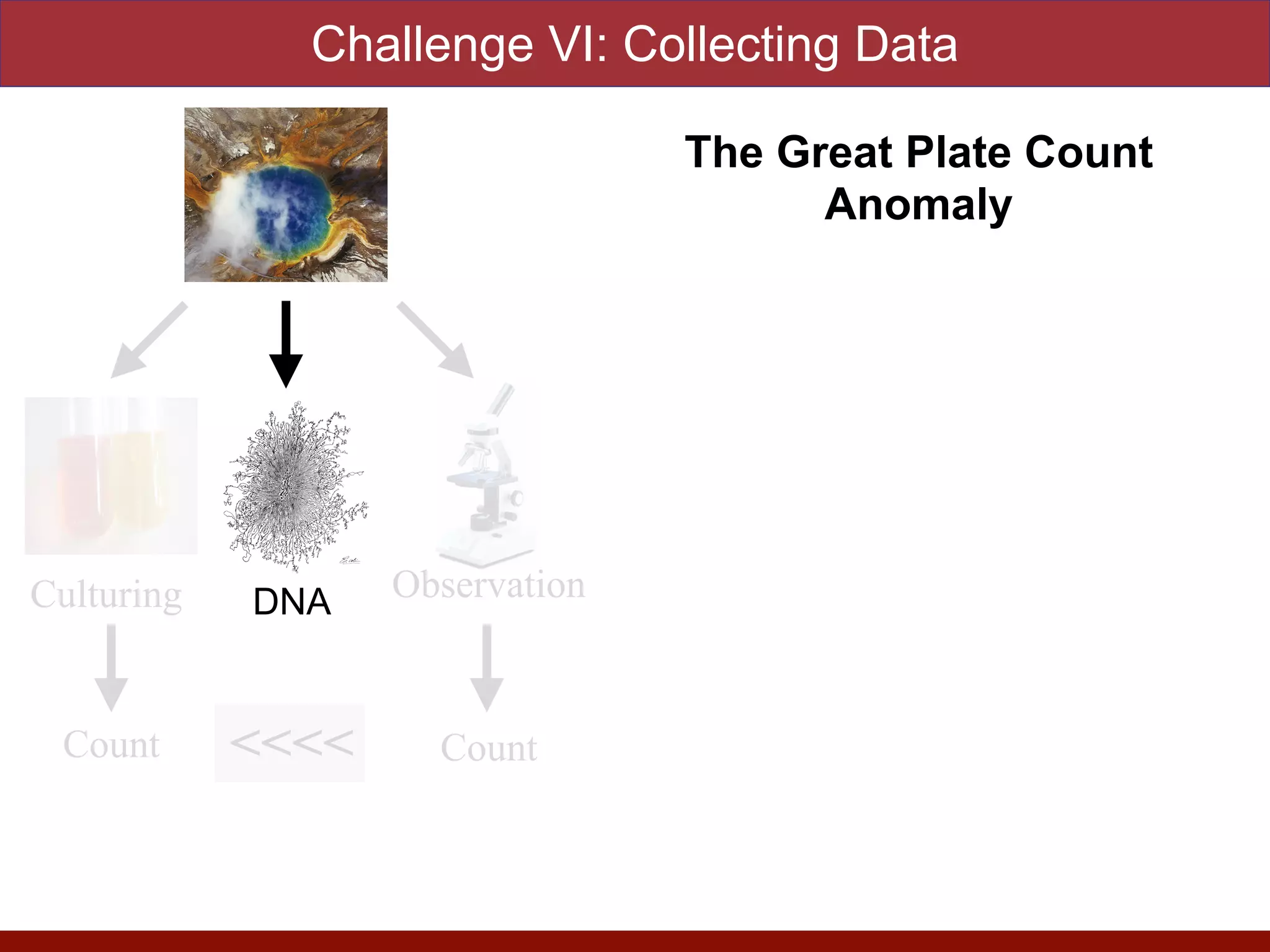 <<<<
Culturing Observation
Count
Count
http://www.google.com/url?
sa=i&rct=j&q=&esrc=s&source=images&
cd=&docid=rLu5sL207WlE1M&tbnid=CR
LQYP7d9d_TcM:&ved=0CAUQjRw&url=h
ttp%3A%2F%2Fwww.biol.unt.edu%2F~jaj
ohnson%2FDNA_sequencing_process&e
i=hFu7U_TyCtOqsQSu9YGwBg&psig=AF
QjCNG-8EBdEljE7-
yHFG2KPuBZt8kIPw&ust=140487395121
1424
DNA
Challenge VI: Collecting Data
The Great Plate Count
Anomaly
 