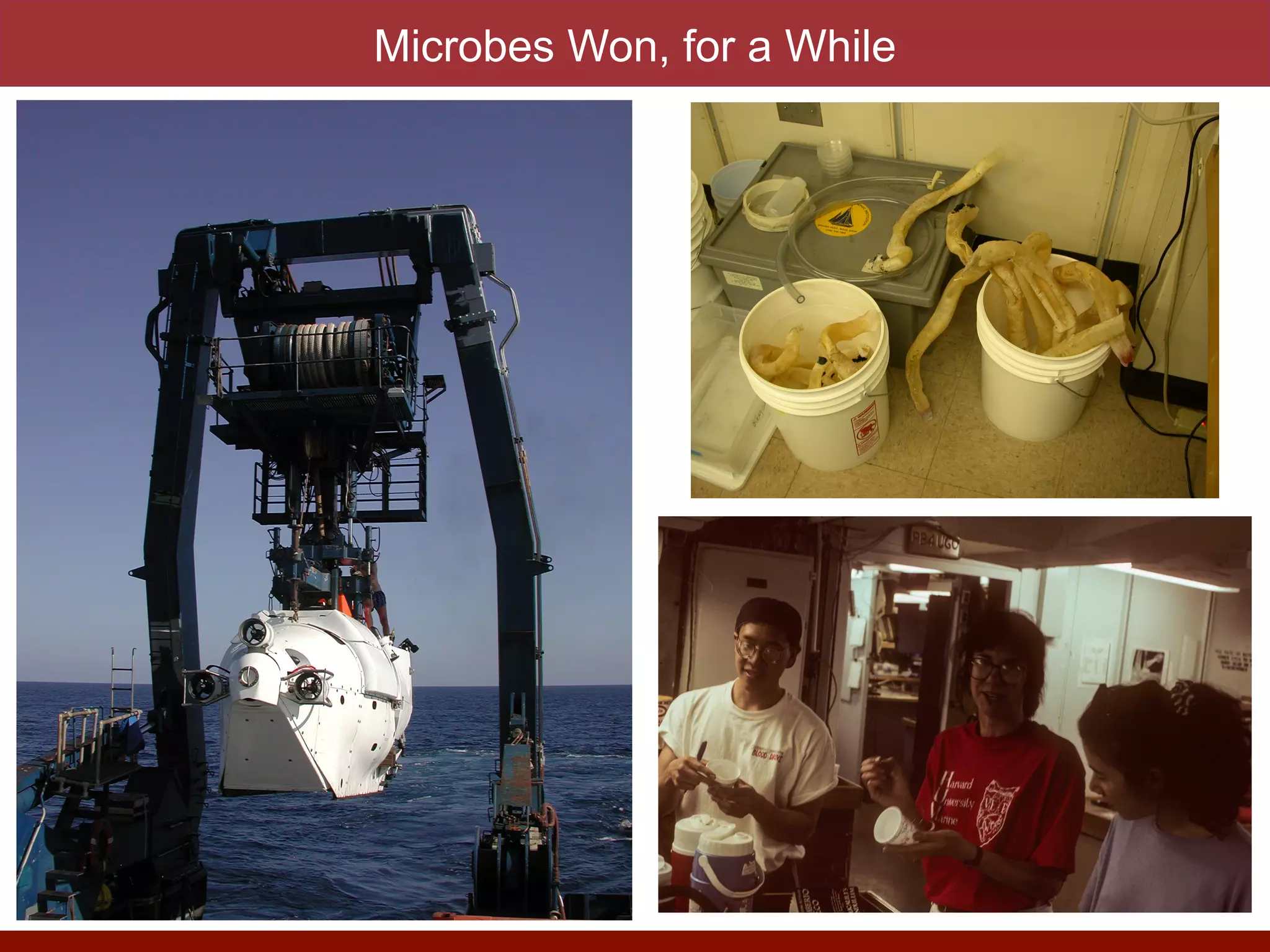 Microbes Won, for a While
 