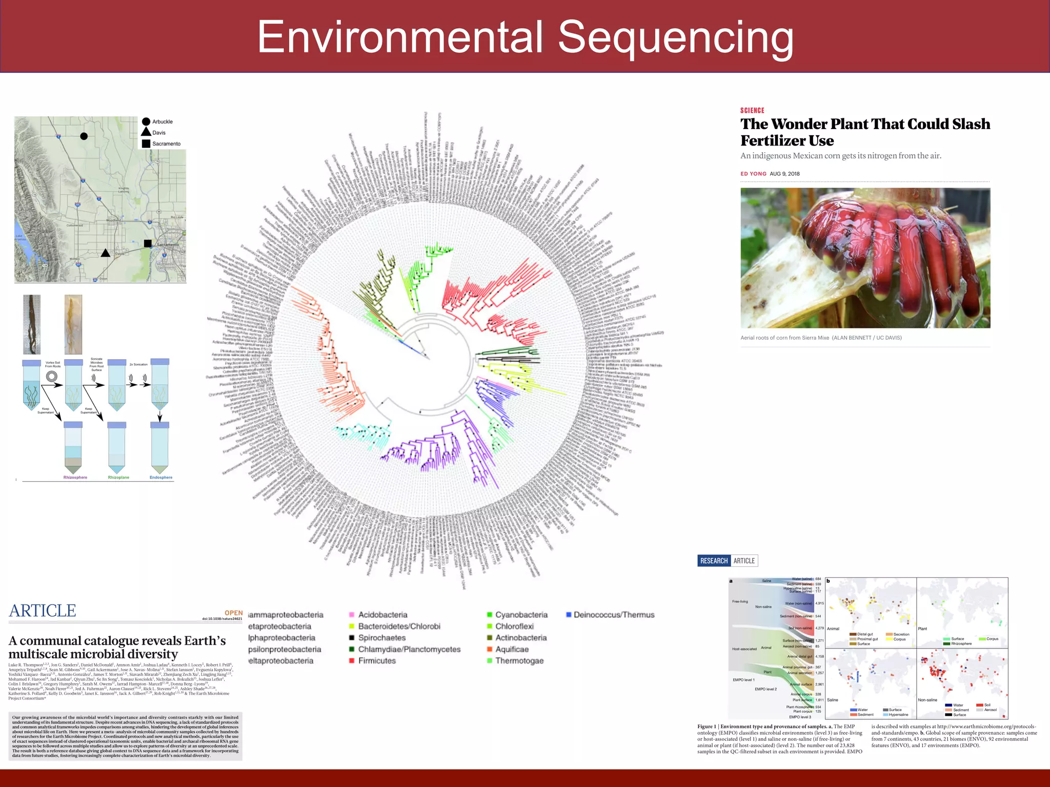 Environmental Sequencing
9
Supplementary Figures
31
32
Fig. S1 Map depicting soil collection locations for greenhouse experiment.
33
10
234
Fig. S2. Sampling and collection of the rhizocompartments. Roots are collected from rice
235
plants and soil is shaken off the roots to leave ~1mm of soil around the roots. The ~1 mm of soil
236
 