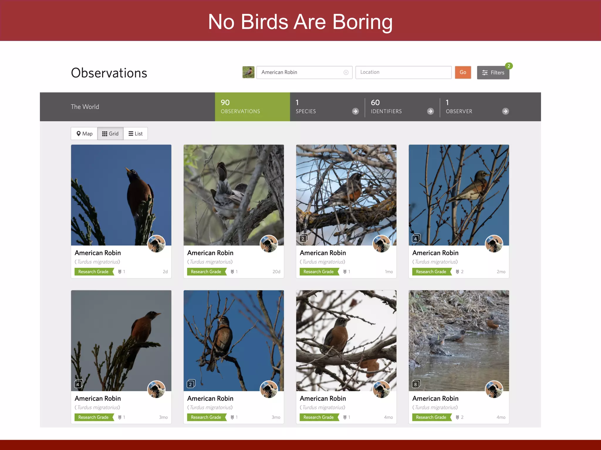 No Birds Are Boring
 