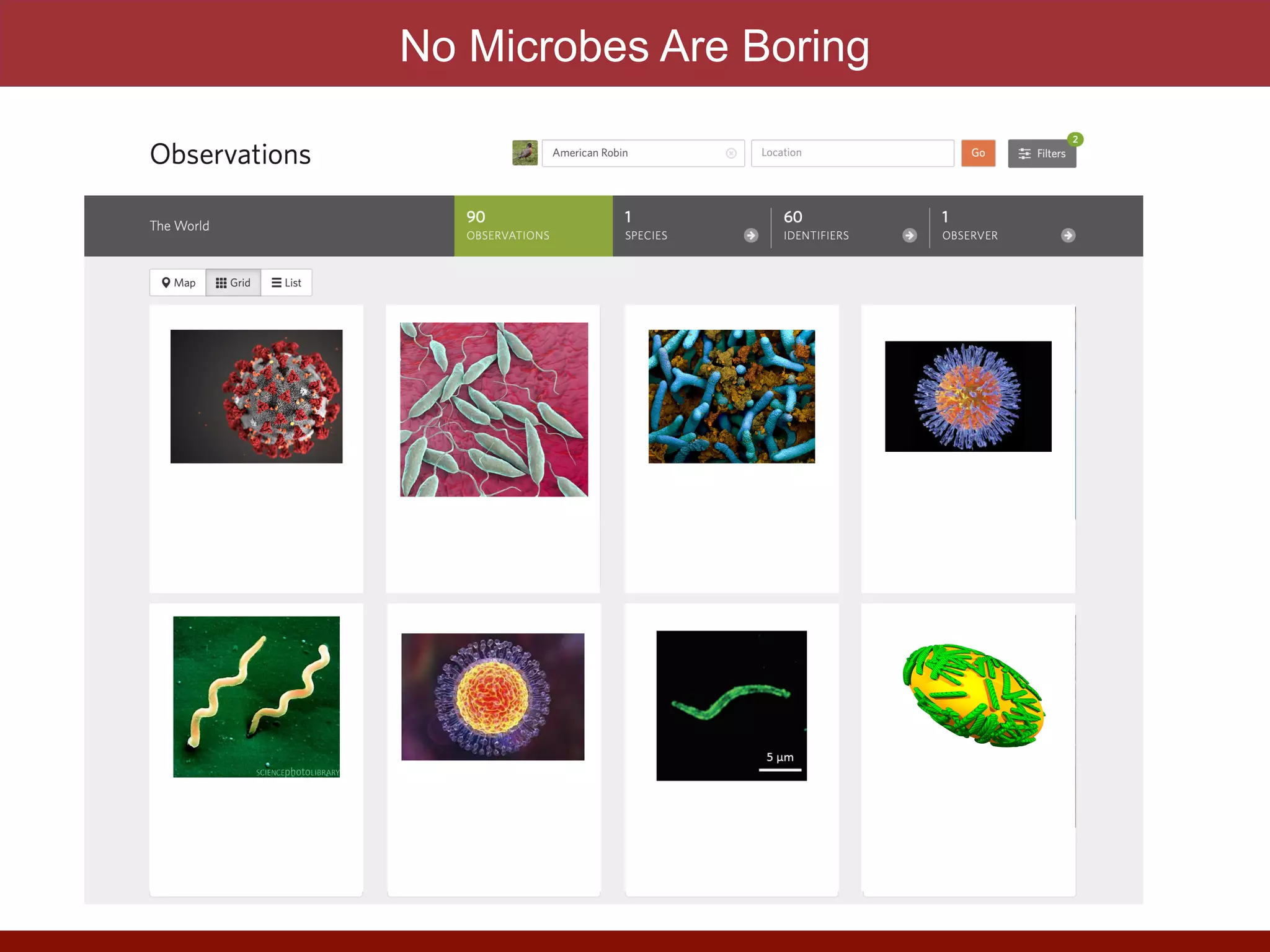 No Microbes Are Boring
 