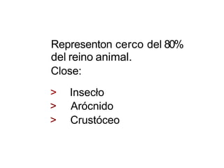 Representon cerco del 80%
del reino animal.
Close:
> Insecło
> Arócnido
> Crustóceo
 