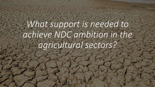 Achieving NDC Ambition in Agriculture: Overview of NDC ambition in the agriculture sectors