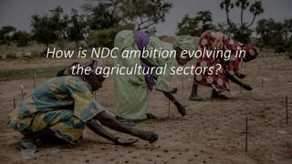 Achieving NDC Ambition in Agriculture: Overview of NDC ambition in the agriculture sectors
