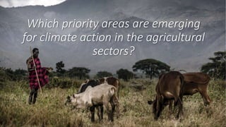 Achieving NDC Ambition in Agriculture: Overview of NDC ambition in the agriculture sectors