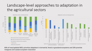 Achieving NDC Ambition in Agriculture: Overview of NDC ambition in the agriculture sectors