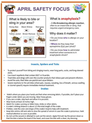 What is anaphylaxis?
- A life-threatening allergic reaction,
often to an insect bite or sting, that
requires urgent emergency care.
Why does it matter?
✓Do you know who is allergic on your
location?
✓Where do they keep their
epinephrine (Epi) pen (shot)?
✓Do you know how to administer
treatment when someone is in
anaphylactic shock?
APRIL SAFETY FOCUS
What is likely to bite or
sting in your area?
Honey Bee Black Widow Red wasp
Yellow Jacket Brown Recluse Scorpion
Snakes
 