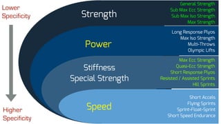 Speed
Strength
Power
Stiffness
Special Strength
Lower
Specificity
Higher
Specificity
General Strength
Sub Max Ecc Strength
Sub Max Iso Strength
Max Strength
Long Response Plyos
Max Iso Strength
Multi-Throws
Olympic Lifts
Max Ecc Strength
Quasi-Ecc Strength
Short Response Plyos
Resisted / Assisted Sprints
Hill Sprints
Short Accels
Flying Sprints
Sprint-Float-Sprint
Short Speed Endurance
 