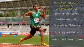 *Maximal Velocity: ~12.8 m/s
*Stride Frequency: ~5 Hz
MAXIMUM VELOCITY
KINEMATIC
CHARACTERISTICS
*Ground Contact Time: ~0.08 sec
*Stride Velocity: ~300 deg / sec
*Stride Lengths: 2.25-2.7m
 