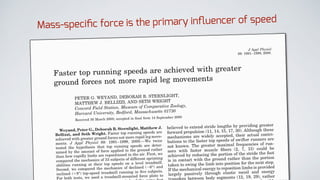 Mass-specific force is the primary influencer of speed
 