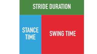STANCE
TIME SWING TIME
STRIDE DURATION
 