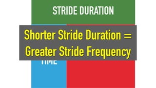 STANCE
TIME SWING TIME
STRIDE DURATION
Shorter Stride Duration =
Greater Stride Frequency
 