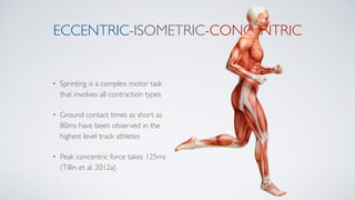 ECCENTRIC-ISOMETRIC-CONCENTRIC
• Sprinting is a complex motor task
that involves all contraction types
• Ground contact times as short as
80ms have been observed in the
highest level track athletes
• Peak concentric force takes 125ms
(Tillin et al. 2012a)
 
