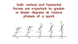 Both vertical and horizontal
forces are important to greater
or lesser degrees at various
phases of a sprint
 