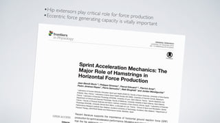 •Hip extensors play critical role for force production
•Eccentric force generating capacity is vitally important
 