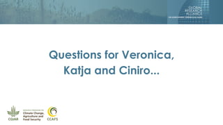 Questions for Veronica,
Katja and Ciniro...
 