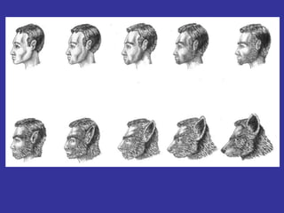 2021 inicio resumen  m