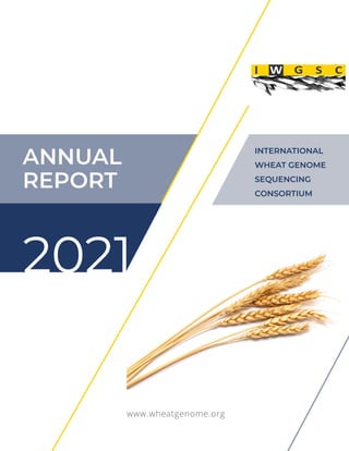 www.wheatgenome.org
INTERNATIONAL
WHEAT GENOME
SEQUENCING
CONSORTIUM
ANNUAL
REPORT
2021
 
