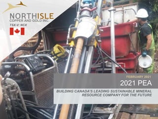 1
FEBRUARY 2021
2021 PEA
BUILDING CANADA’S LEADING SUSTAINABLE MINERAL
RESOURCE COMPANY FOR THE FUTURE
TSX-V: NCX
COPPER AND GOLD INC.
 