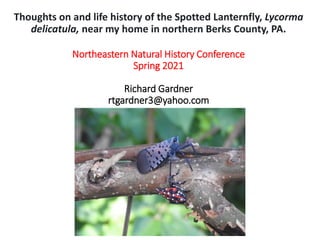 Thoughts on and life history of the Spotted Lanternfly, Lycorma
delicatula, near my home in northern Berks County, PA.
Northeastern Natural History Conference
Spring 2021
Richard Gardner
rtgardner3@yahoo.com
 