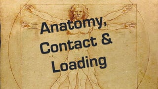 Anatomy,
Contact &
Loading
 