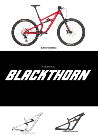 2021 SALSA DEALER BOOK