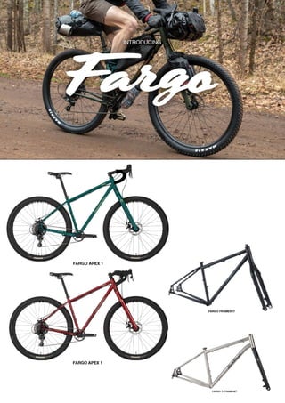 2021 SALSA DEALER BOOK